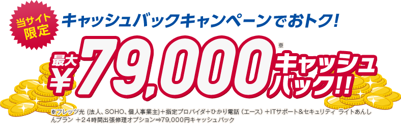 当サイト限定キャッシュバックキャンペーン最大79,000円キャッシュバック